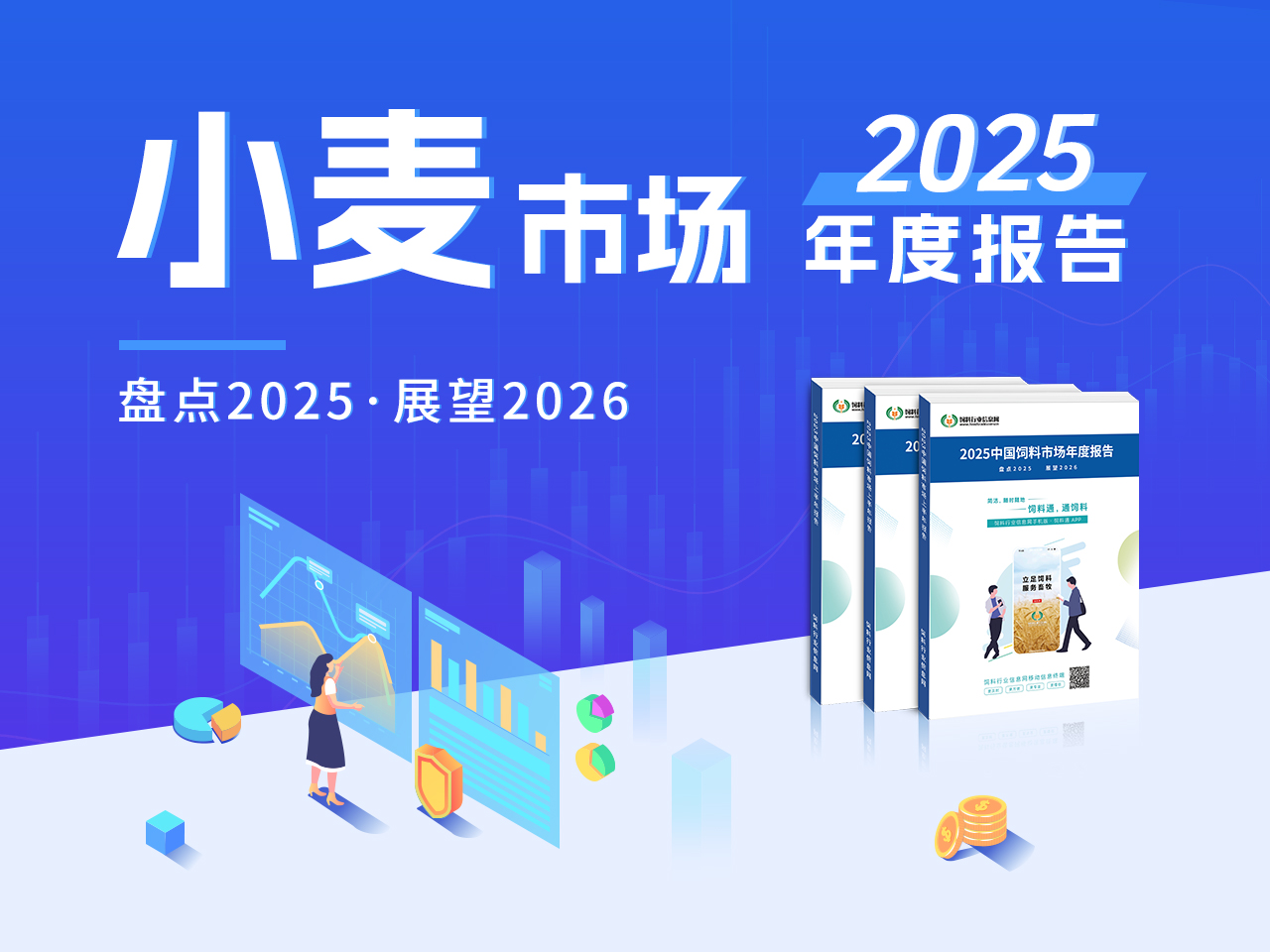 2025 年中国小麦市场年度分析报告