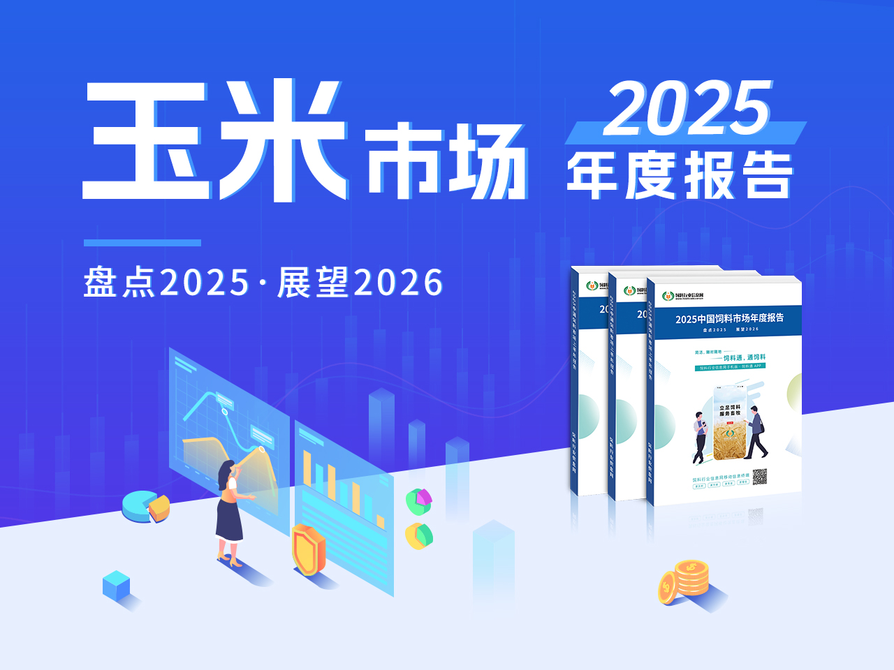 2025 年中国玉米市场年度分析报告